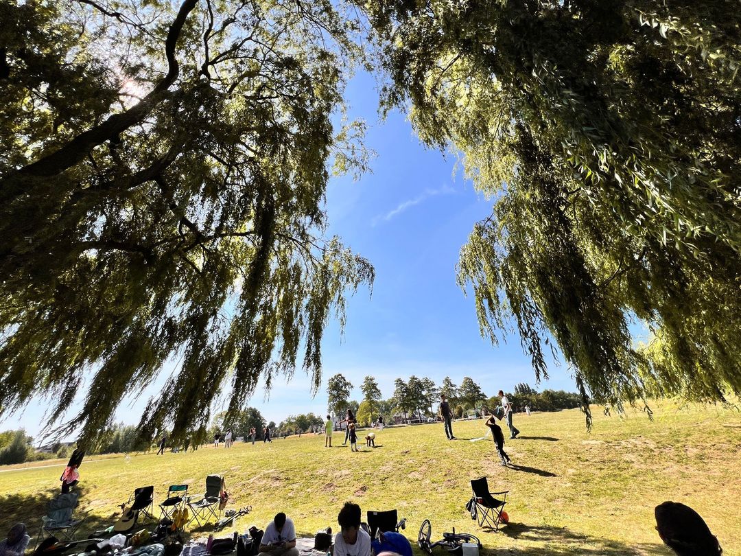 WhatsApp Image 2025-09-07 at 15.17.22.jpeg